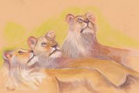 Three Lions looking up (is that an Airplane?)